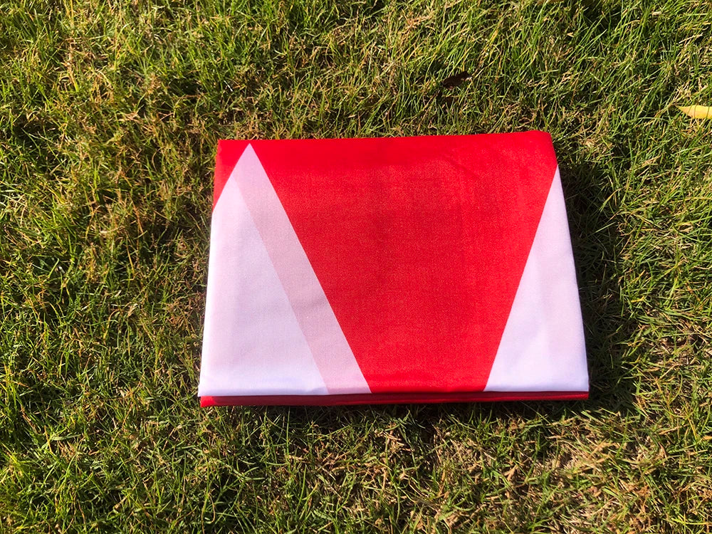 Franken Flag 90X150cm High quality polyester hanging Franken Flag for indoor and outdoor banners decorate flags
