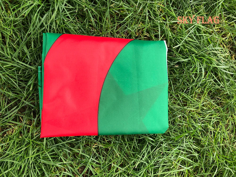 Algeria Flag 90x150cm Hanging Polyester High Quality ALG Algeria flag National Flag Banner Office Activity parade for decoration