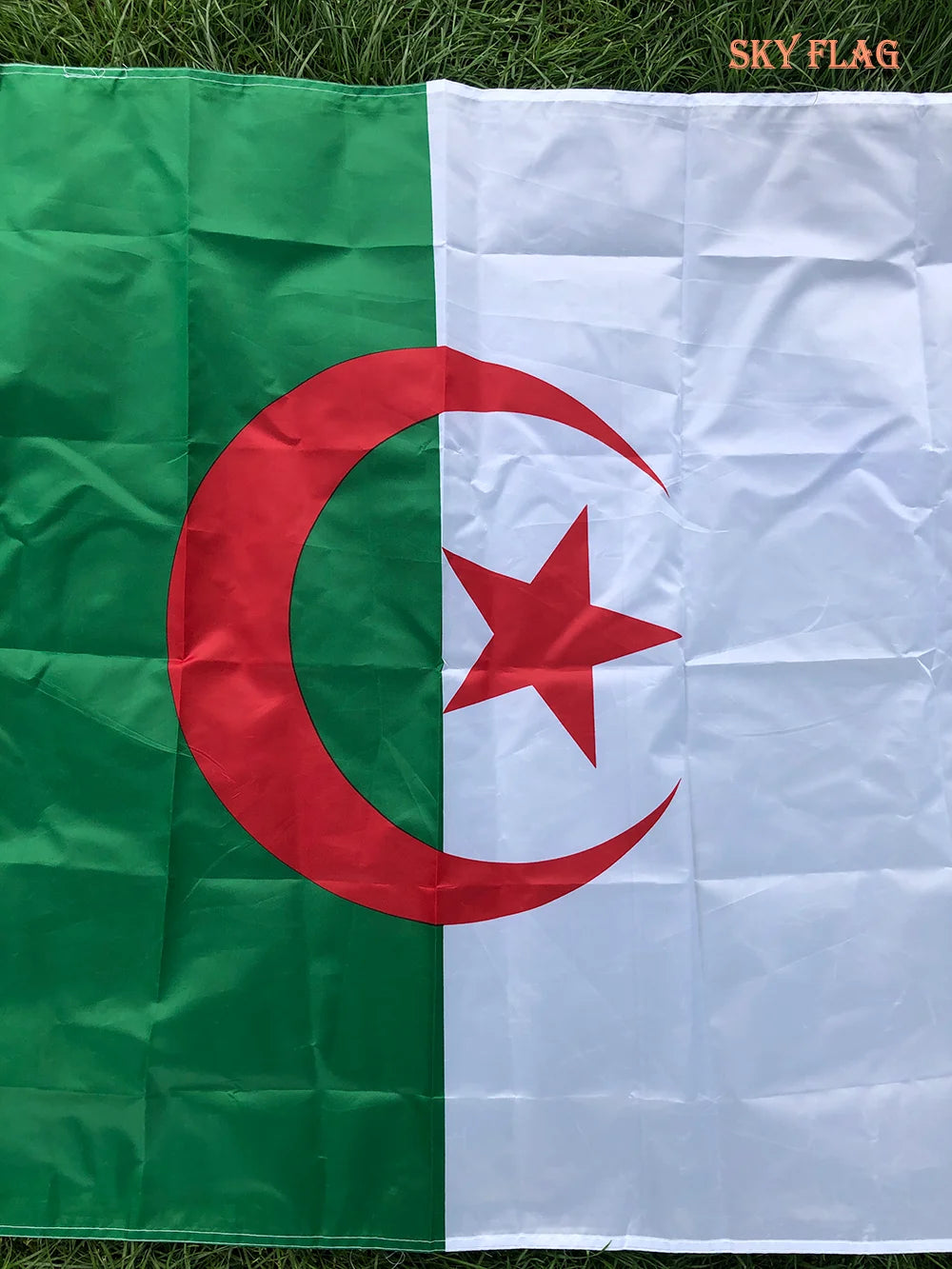 Algeria Flag 90x150cm Hanging Polyester High Quality ALG Algeria flag National Flag Banner Office Activity parade for decoration