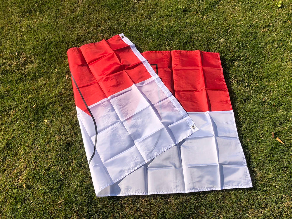 Franken Flag 90X150cm High quality polyester hanging Franken Flag for indoor and outdoor banners decorate flags